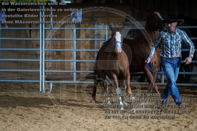 s_K3F04920.JPG